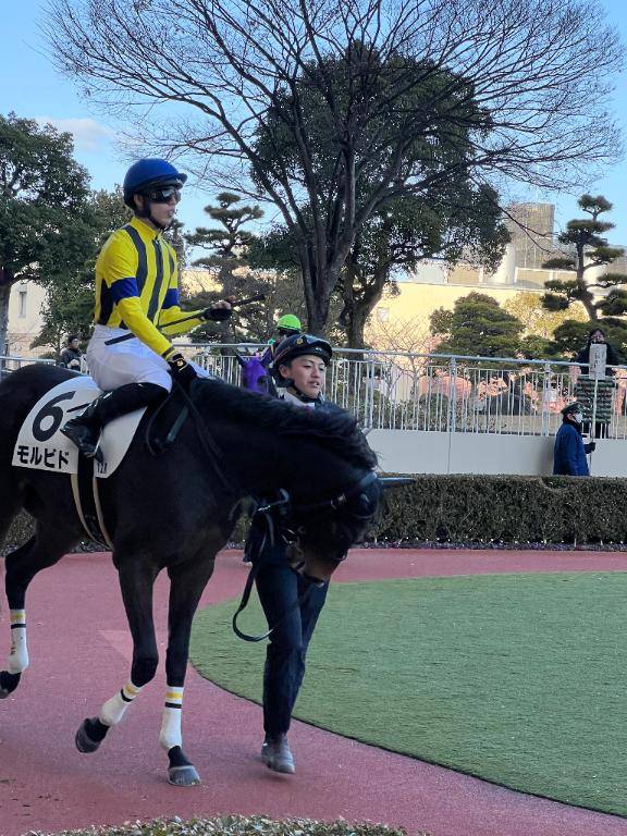 ご予約聞いたよーヽ(´▽｀)/今年初ですねん（笑）