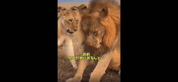 [お題]from:マンホールさん