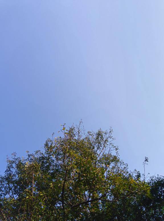 おはこんにちは?！今日も元気に??まこ???