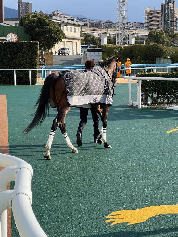 ご贔屓様☆前日〆のご予約ありがとう☆