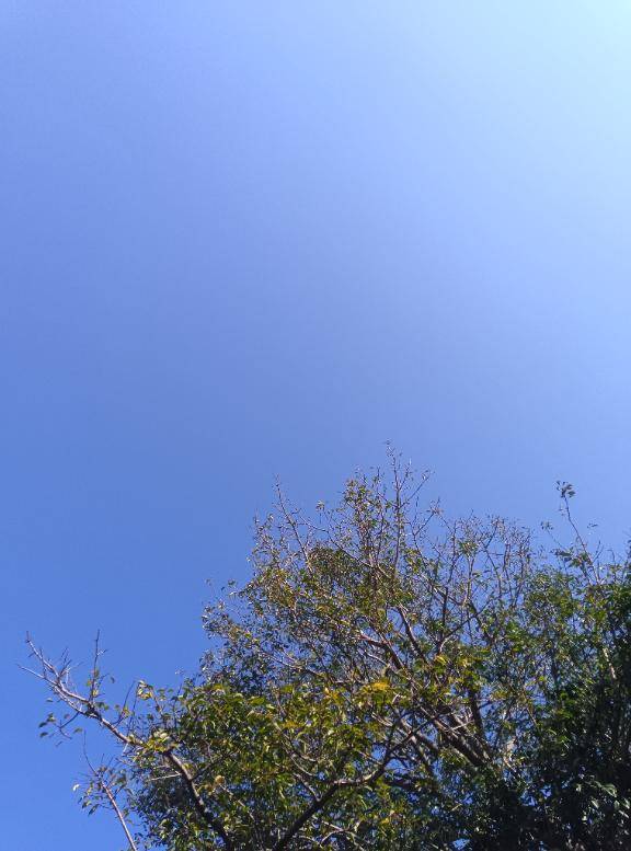 天気が気持ち良い?まこ???