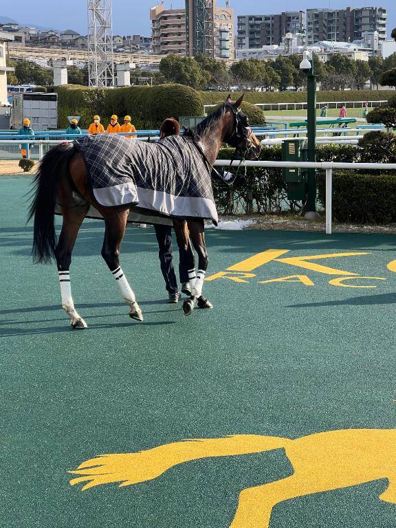 あれ～？おかしい（笑）今週から待望の春競馬開幕週だと