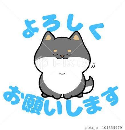 今日も