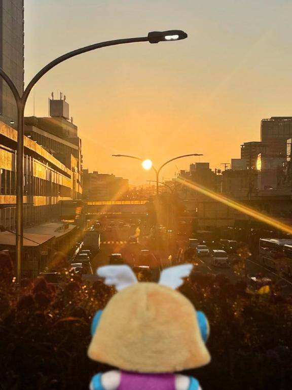 今日も?