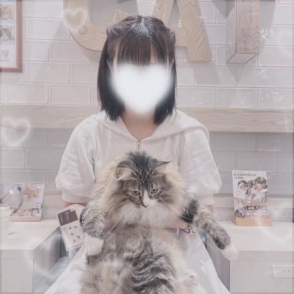 🐱‎🤍