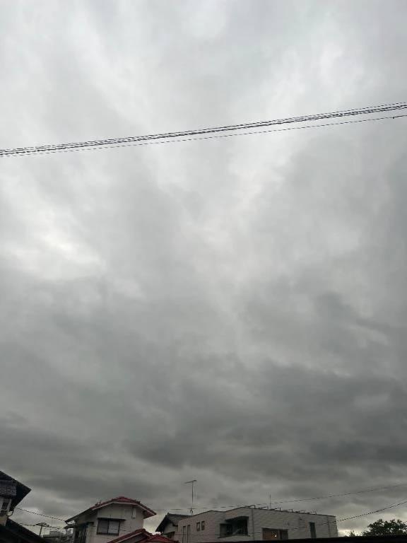 雨はやっぱり出発時には上がってましたが