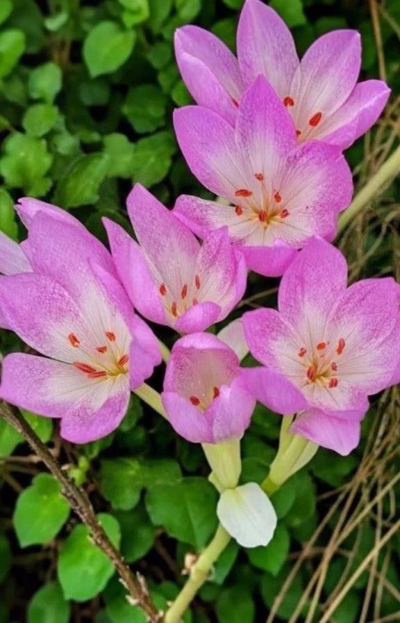 今日も