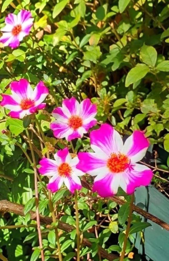 この時期