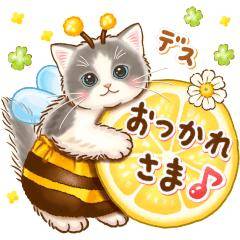 こんばんは 、まどかです~