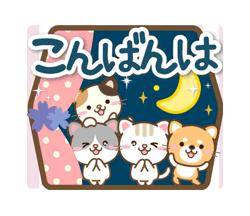 こんばんは、まどか です～