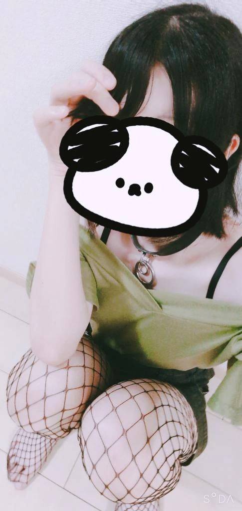 明日もいるよ〜☂️