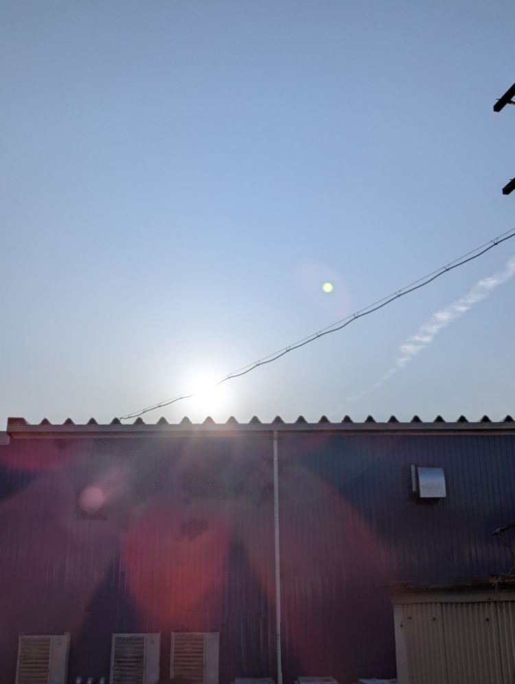おはようございます☀️