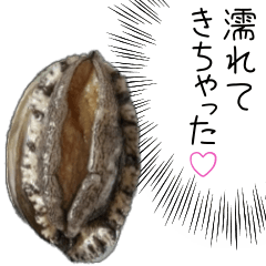 明日❤️。