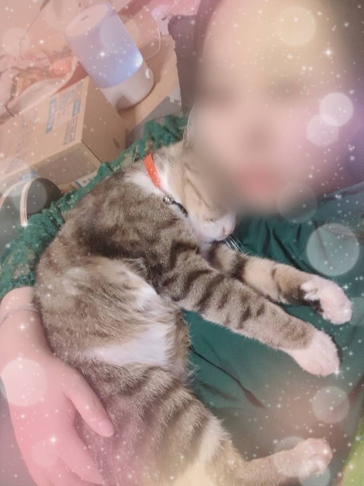 こんにちは♪