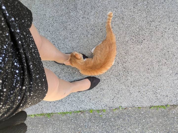 可愛いお友達(*^^*)