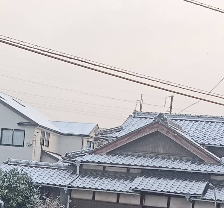 -花梨-かりん（フルオプション）