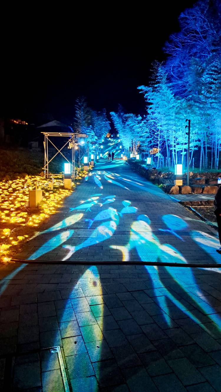 -輝-ひかる(SexyRose-セクシーローズ)