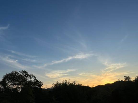 ありがとうすぎ???