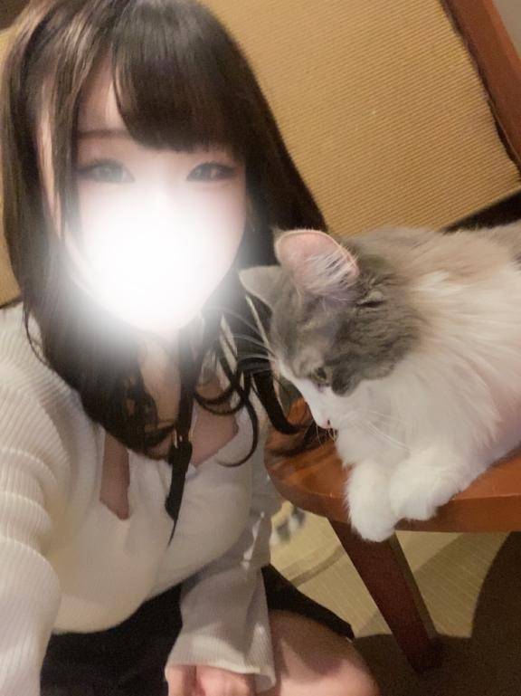 にゃんにゃん🐱