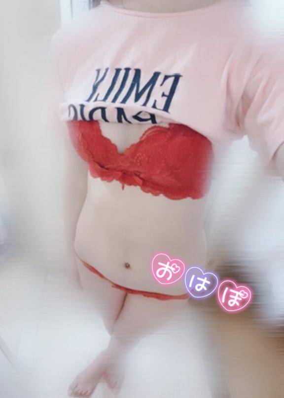 おはにゃん😻🐾