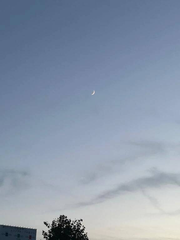残り3日ﾆﾀﾞ