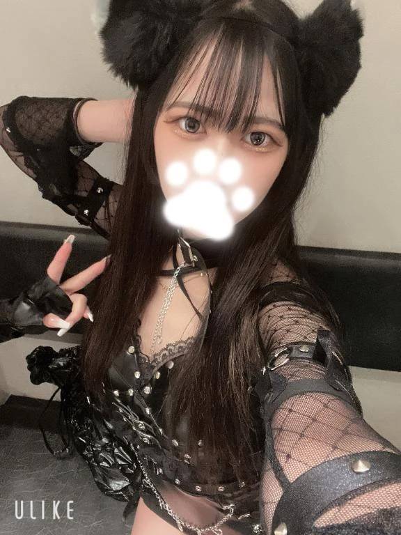 おはにゃん😻🐾