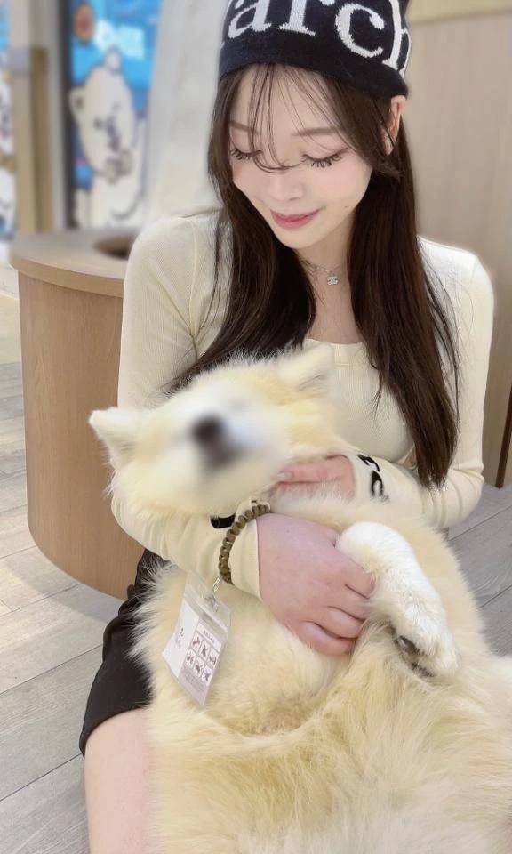 🈵完売御礼🈵