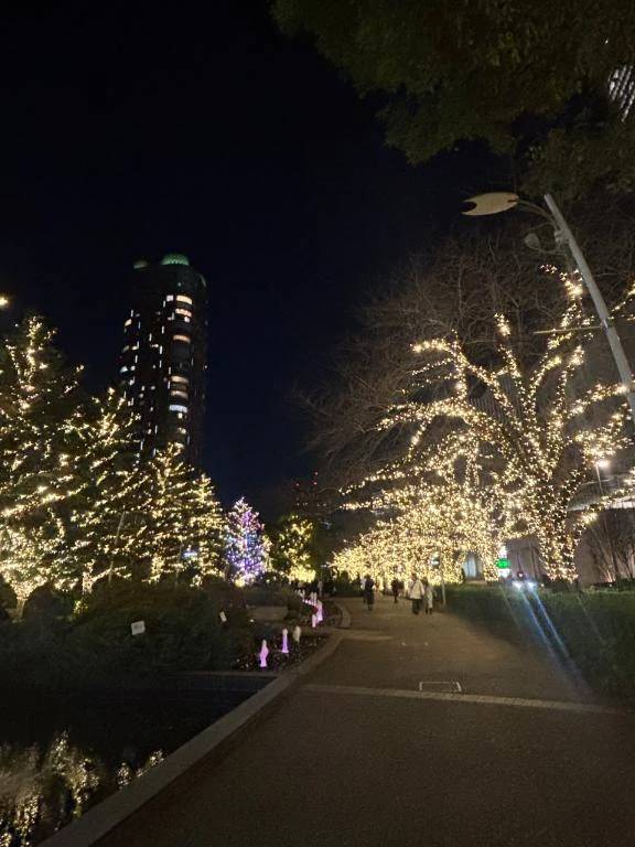 あけおめ‼️‼️