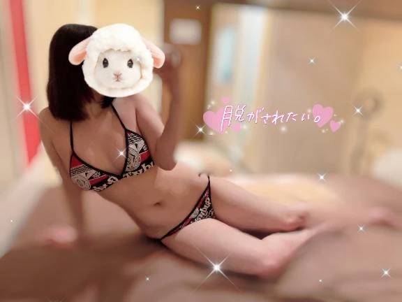 🌄 おはよう ☀️