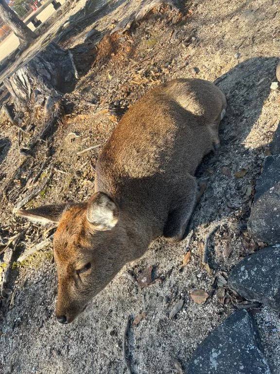 キャンセル🈳12時40分～