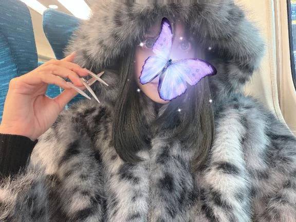 次回18時頃〜🈳