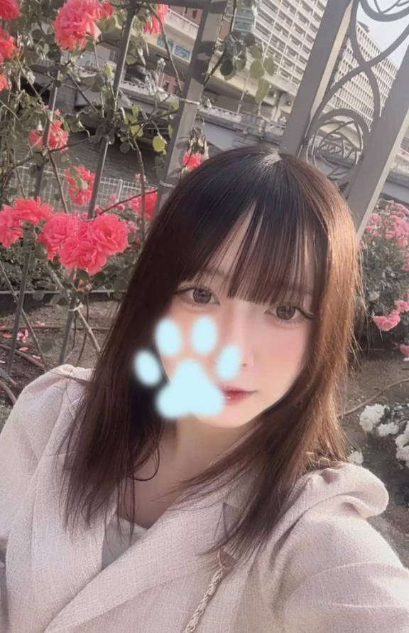 明日から🐝