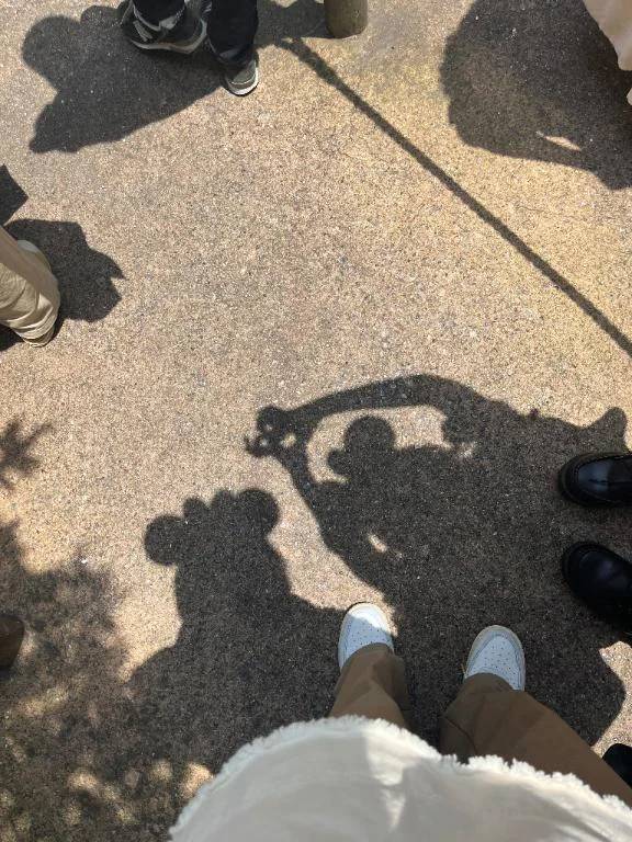 サンサン太陽おはようさん☀️