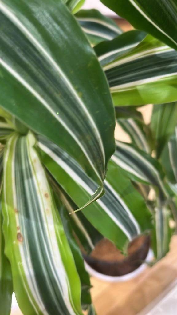 最近涼しくなりましたね🌱