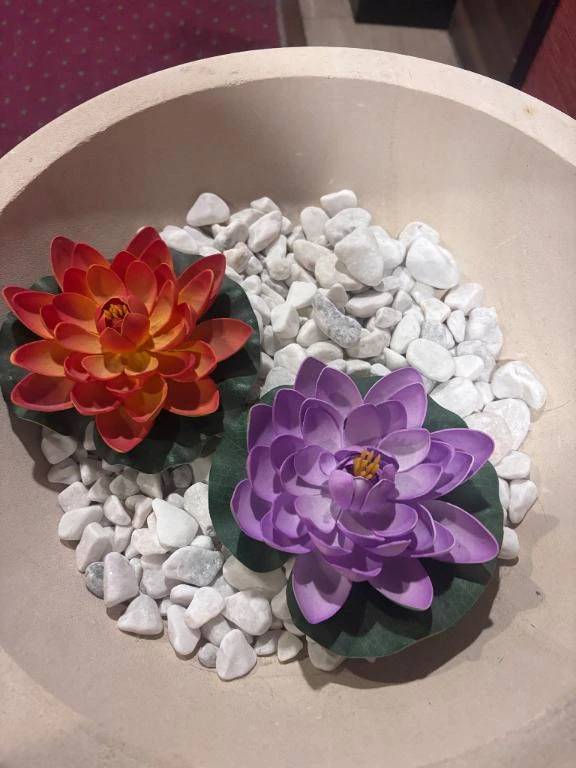 💌昨日のお礼💌