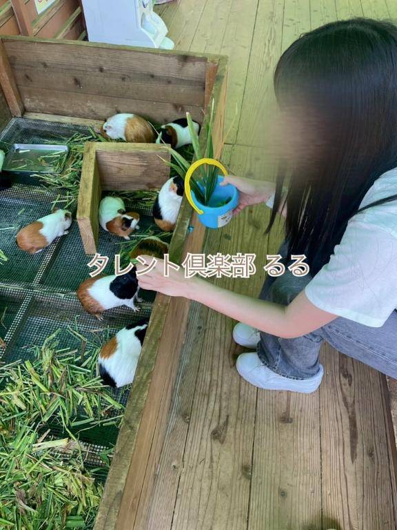 るる　ガチで鉄板！愛嬌抜群SSS級清楚美女