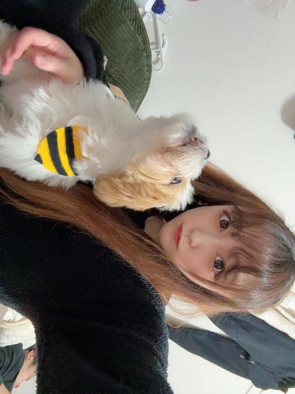 [お題]from:たまに無性に食べたくさん