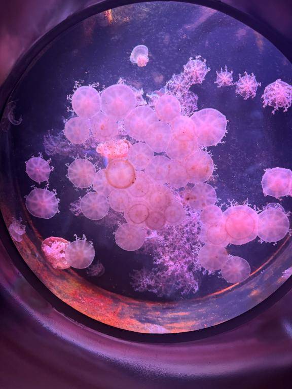 6日から初出勤予定?