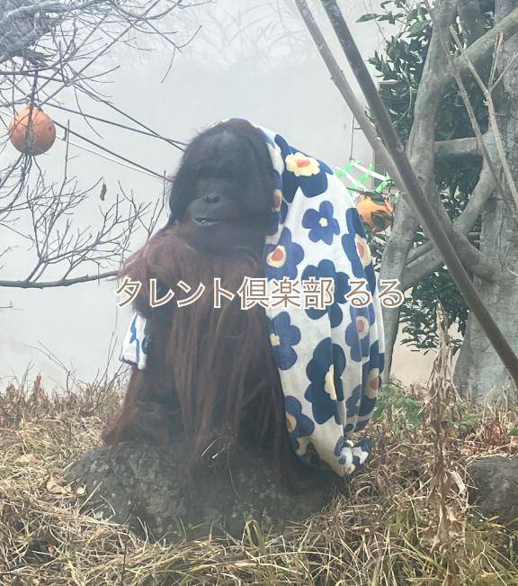 オラじゃなくてオラン?