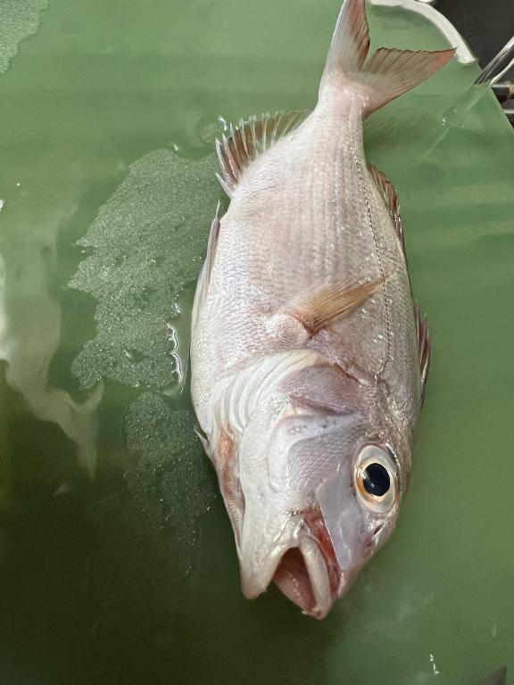はじめて?