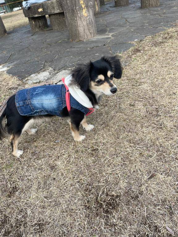 私どしたことが…。