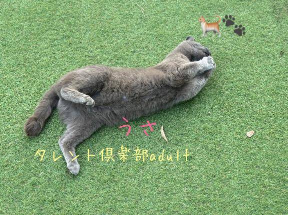 こんばんは??