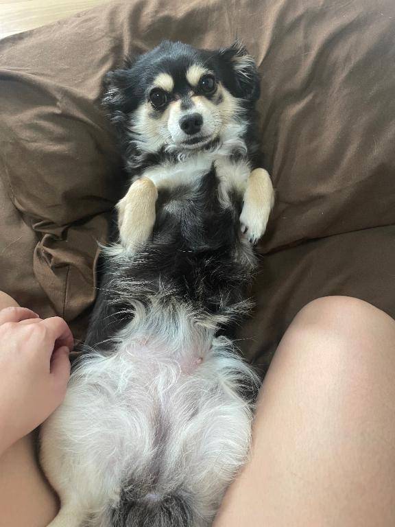 ??