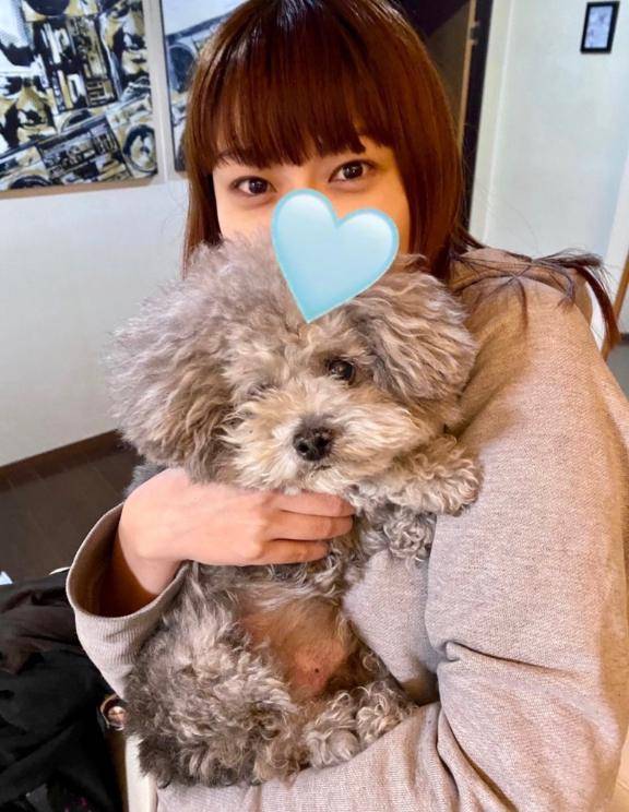 今日はお休みです?