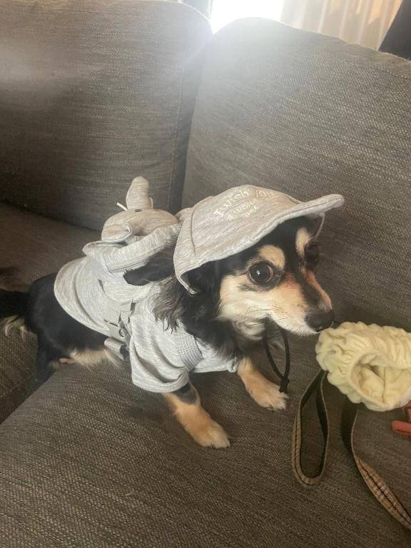 しぐれ 牝の本能が疼く☆最高美女の淫乱フェラ潮吹き祭り