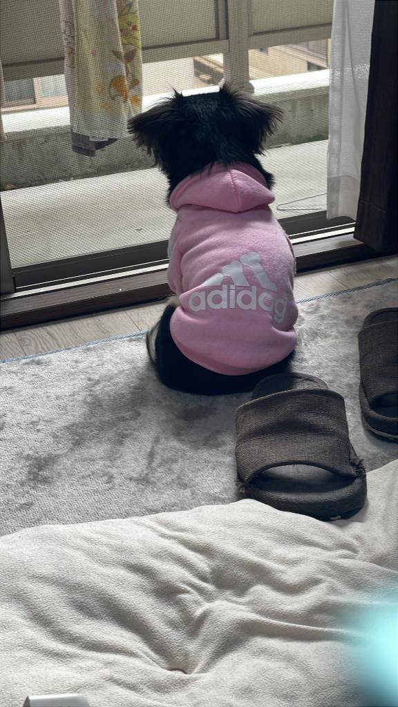 しぐれ　牝の本能が疼く☆最高美女の淫乱フェラ潮吹き祭り