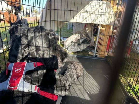 あんな 美貌に隠れた“淫らさ”びくんと震える敏感BODY♡