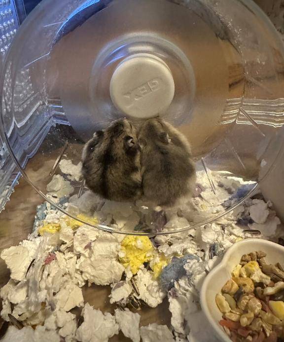 あんな 美貌に隠れた“淫らさ”びくんと震える敏感BODY♡