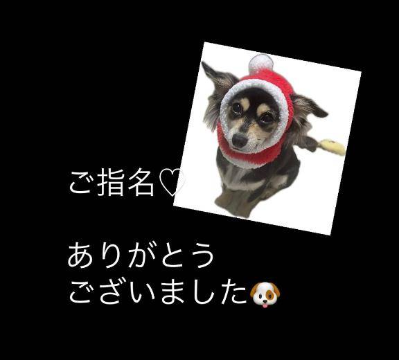 しぐれ　牝の本能が疼く☆最高美女の淫乱フェラ潮吹き祭り