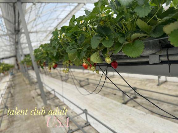 うさ　Ｓ級痴女の超絶テク☆悶絶必至の連続射精